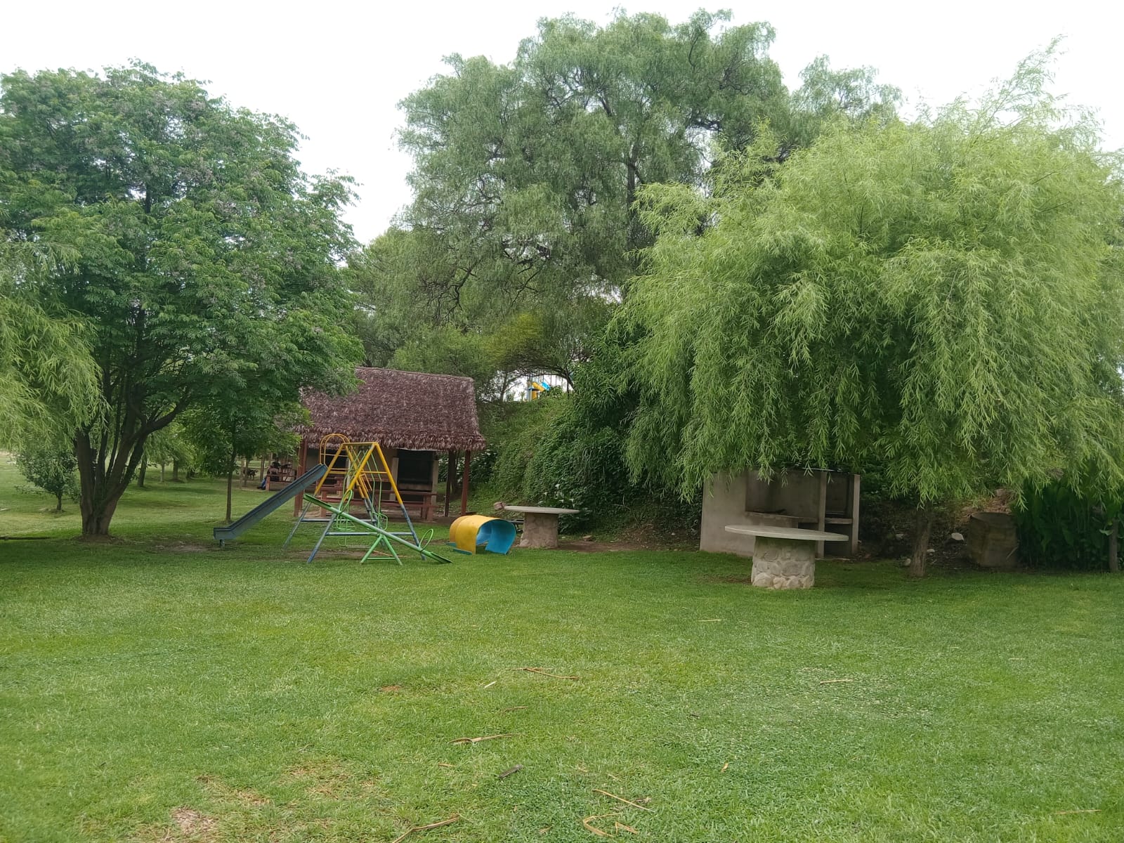 Galería